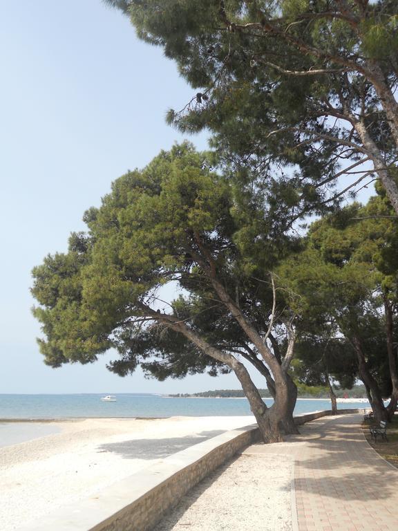 Stefani Apartma *